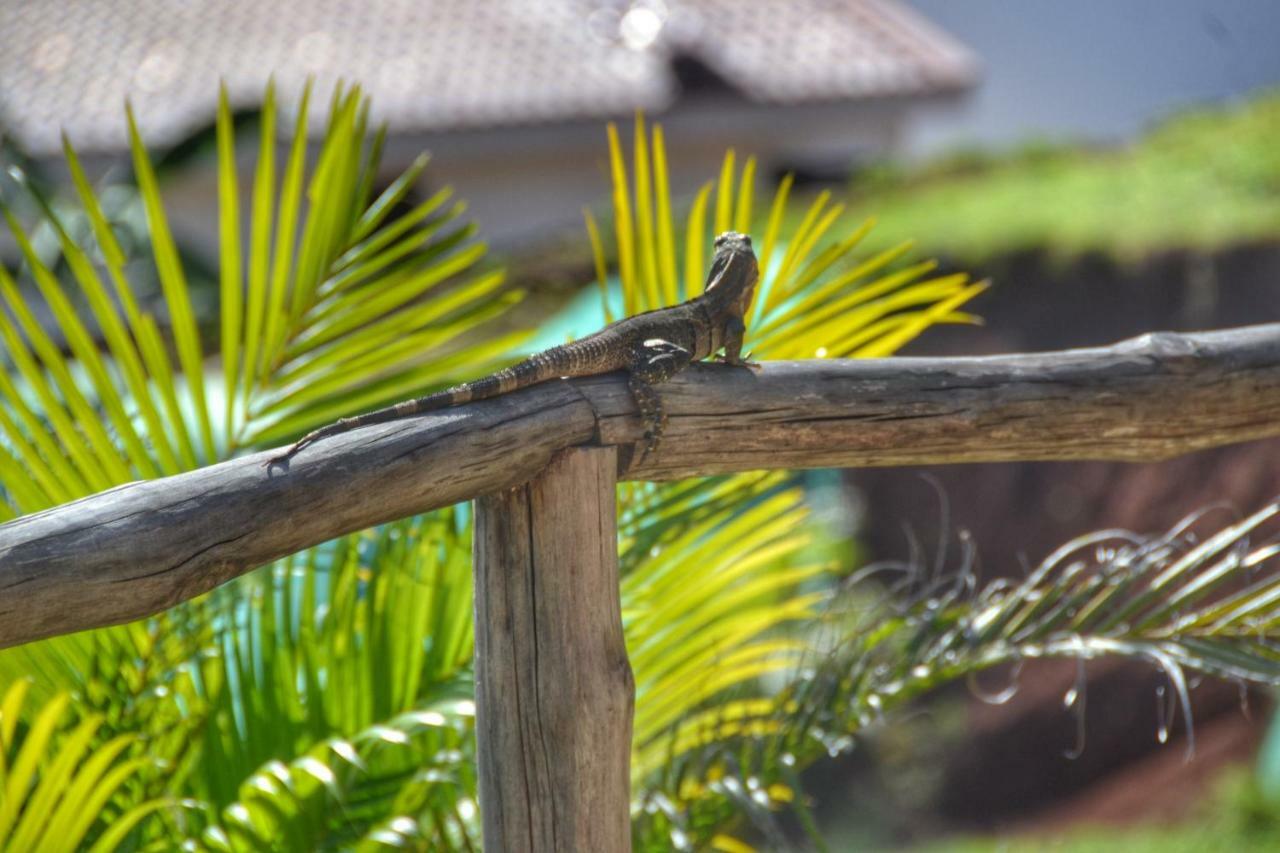 Playa Lagarto Eco Development Villa Paraíso Kültér fotó